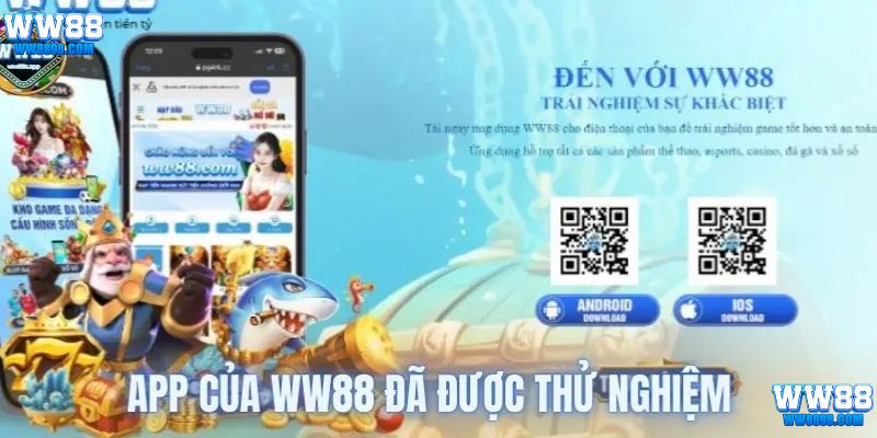 App của WW88 đã được thử nhiệm trước khi cho vào hoạt động 