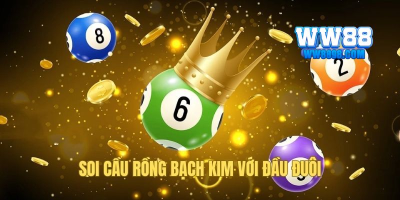 Cẩm nang cược đầu đuôi cùng Rồng Bạch Kim