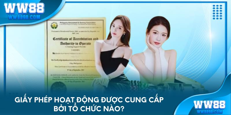 Giấy phép hoạt động WW88 được cung cấp bởi tổ chức nào?