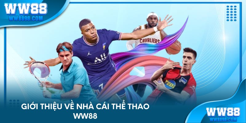 Giới thiệu về nhà cái thể thao WW88