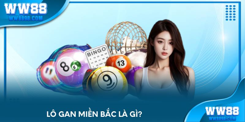 Lô gan miền Bắc là gì?