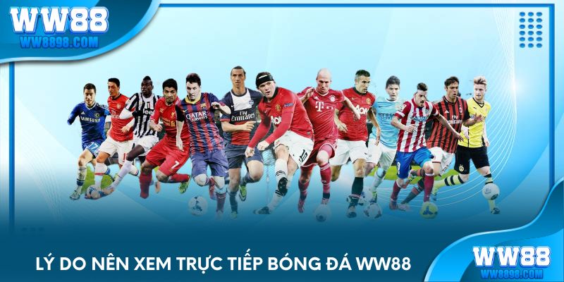 Lý do nên xem trực tiếp bóng đá WW88