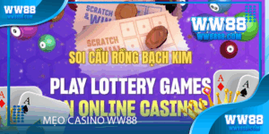soi-cau-rong-bach-kim-ww88